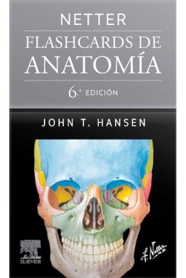 FLASHCARDS NETTER 6 EDICION