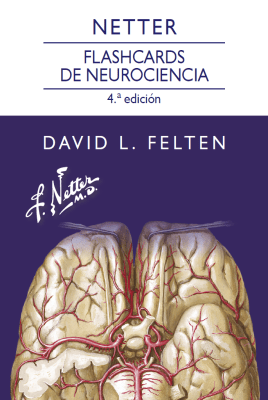 Flash Cards Neurociencia