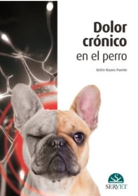 Ruano, Dolor crónico en el perro