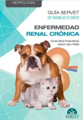 Pineda Guia Servet de Manejo Clinico: enfermedad renal crónica
