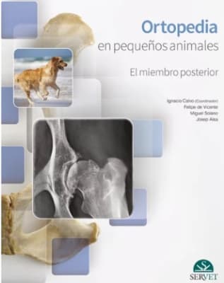 Bermejo Ortopedia en pequeños animales. El miembro posterior