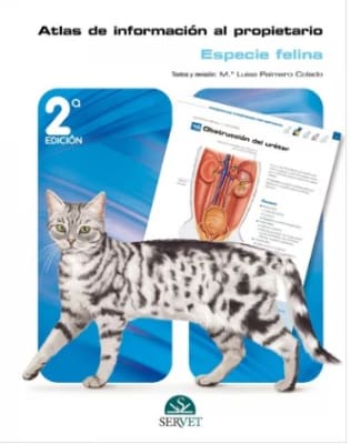 Atlas de Informacion al propietario Especie Felina 2ª ed. - Palmero