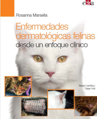 Enfermedades dermatológicas felinas desde un enfoque clínico