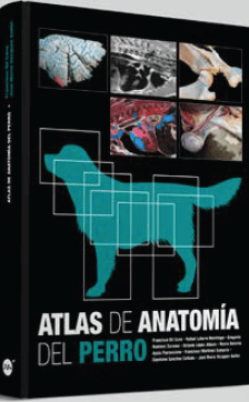 Atlas de Anatomía del Perro Gil Cano
