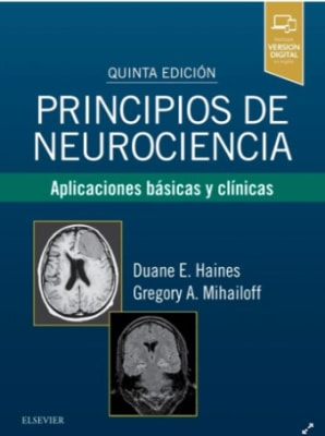 Principios de neurociencia 5ª ed. - Haines