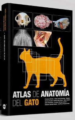 Gil Atlas de anatomía del gato