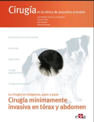 Cirugia en la clinica de pequeños animales: Cirugia minimamente invasiva en torax y abdomen