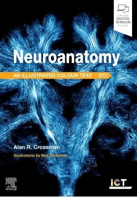 Neuroanatomy: Illustrated Colour Text, 7th Edition - Crossman