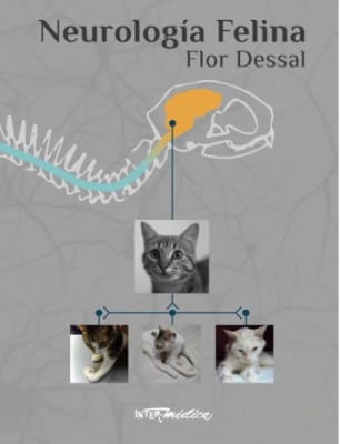 Flor Dessal Neurologia Felina