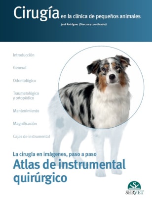 Cirugía en la clínica de pequños animales. Atlas de instrumental quirúrgico - Rodríguez