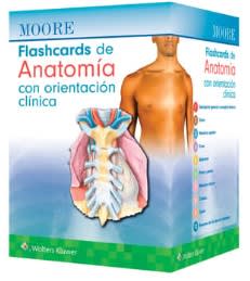 Moore Flashcards de Anatomía con orientación clínica