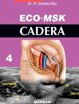 Eco MSK Cadera 41