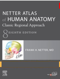 Netter Atlas of Human Anatomy classic regional