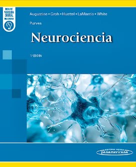 Purves Neurociencia 7° ed.