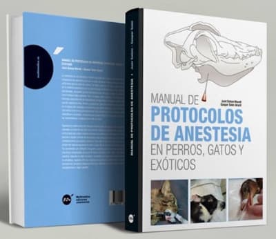 Salom Morell protocolos de anestesia en perros y gatos y exóticos