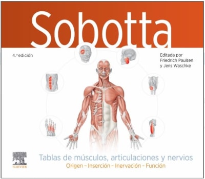 Sobotta Tablas musculos articulaciones nervios