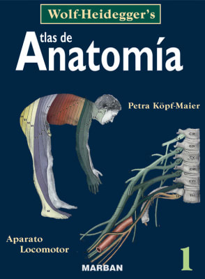 Atlas de Anatomía Wolf Heidegger´s v.1