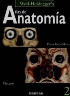 Atlas de Anatomía Wolf Heiddgger's v.2
