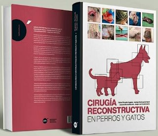Huppes Cirugia reconstructiva perros gatos