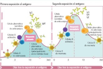 Vacunología en pequeños animales2