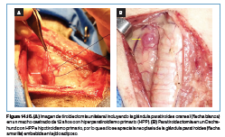 Manual Practico de Endocrinologia en el perro Santiago Teyssandier6