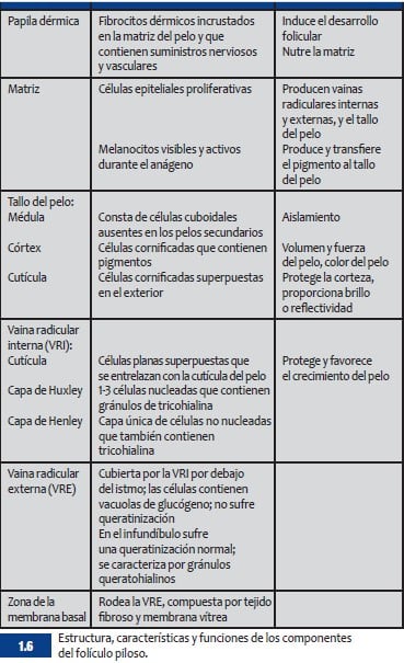 BSAVA Manual de dermatología canina y felina 4.ª ed.4