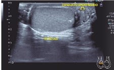 ECO Facil - Antonio Lanzas 2da ed. 20222