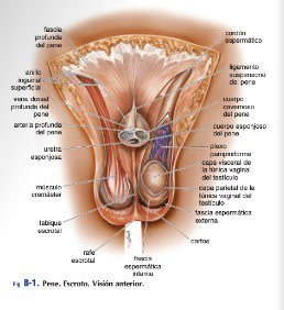 ECO Facil - Antonio Lanzas 2da ed. 20221