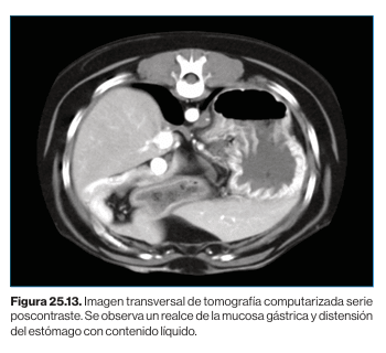 Diagnostico por imagen en pequeños animales, 2ª edicion3