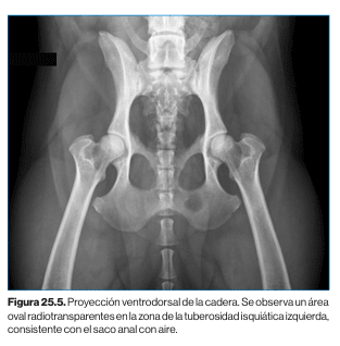 Diagnostico por imagen en pequeños animales, 2ª edicion1