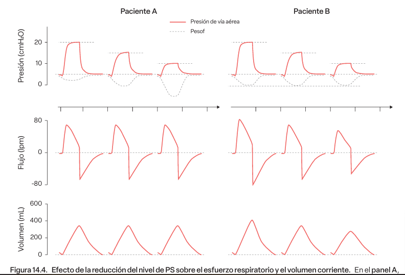 Insuficiencia respiratoria y ventilación mecánica, Gullermo Bugedo7