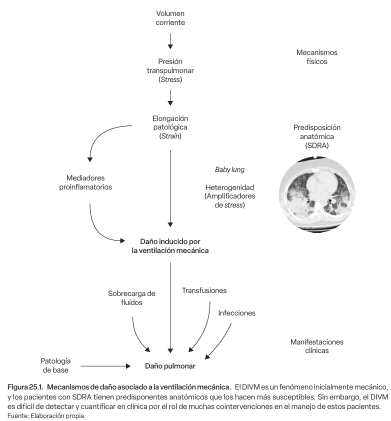Insuficiencia respiratoria y ventilación mecánica, Gullermo Bugedo5