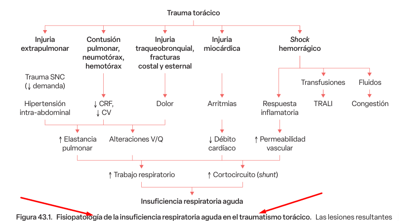 Insuficiencia respiratoria y ventilación mecánica, Gullermo Bugedo2