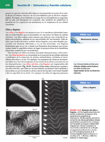 La Celula 8° ed. Cooper Formato Handbook2