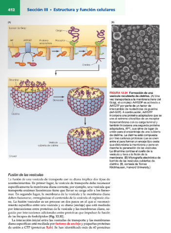 La Celula 8° ed. Cooper Formato Handbook3