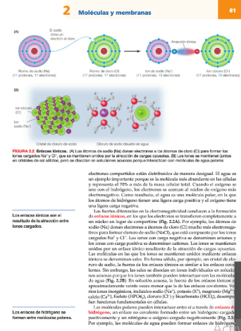 La Celula 8° ed. Cooper Formato Handbook5