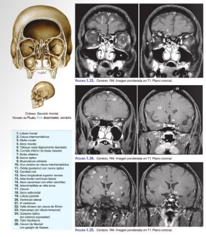 De Gregorio Anatomia Radiologica5