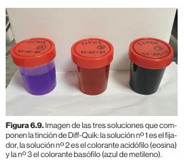 Diagnosticos dermatologicos canino y felino. Tecnicas e  interpretaciones Maite Verde Arribas2