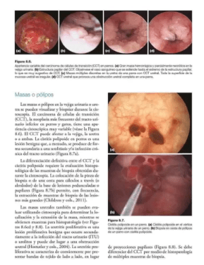 MANUAL DE NEFROLOGIA Y UROLOGIA 3RA ED. ELLIOT2