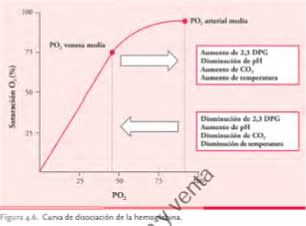 Hematologia. Manual Basico Razonado Sanchez-Guijo,  San Miguel.3