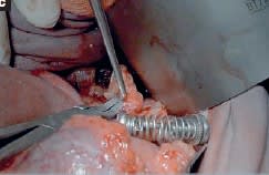 Cirugía en la clínica de pequños animales. Atlas de instrumental quirúrgico - Rodríguez2