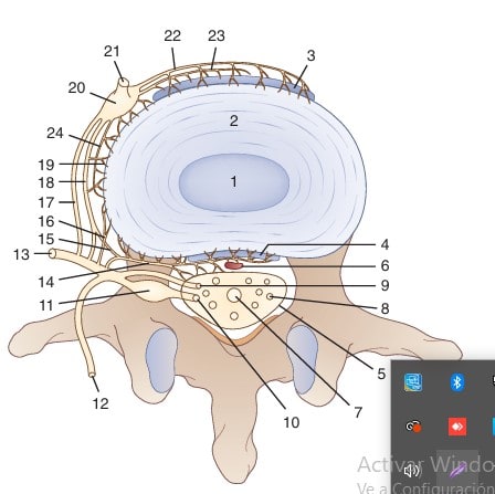 Diagnostico, Manejo y Tratamiento del Dolor Discogenico - Kapural4