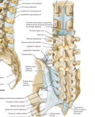 Diagnostico, Manejo y Tratamiento del Dolor Discogenico - Kapural2