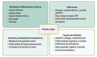 Manual de Psicodermatologia Malvido - Torales - Vasquez6