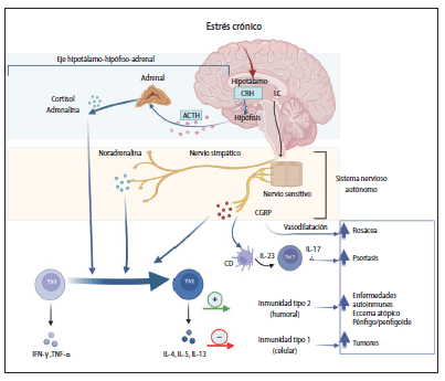 Manual de Psicodermatologia Malvido - Torales - Vasquez3