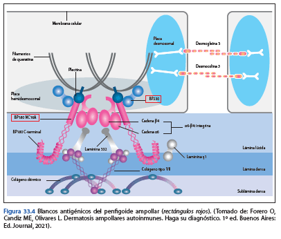 Manual de Psicodermatologia Malvido - Torales - Vasquez2