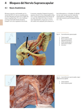 Meier - Anestesia Regional Periferica Atlas De Anatomia2