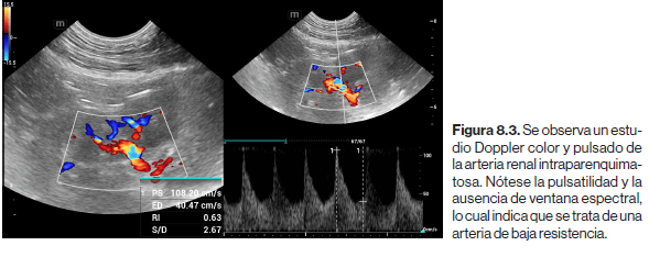 Atlas clinico de ecografia doppler en pequeños animales4