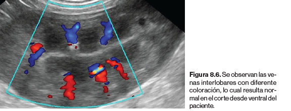 Atlas clinico de ecografia doppler en pequeños animales6