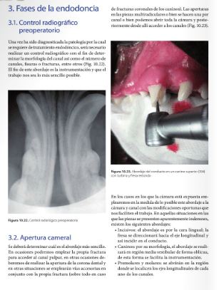 ODONTOLOGIA en el PERRO, GATO y EXOTICOS Whyte - San Román1